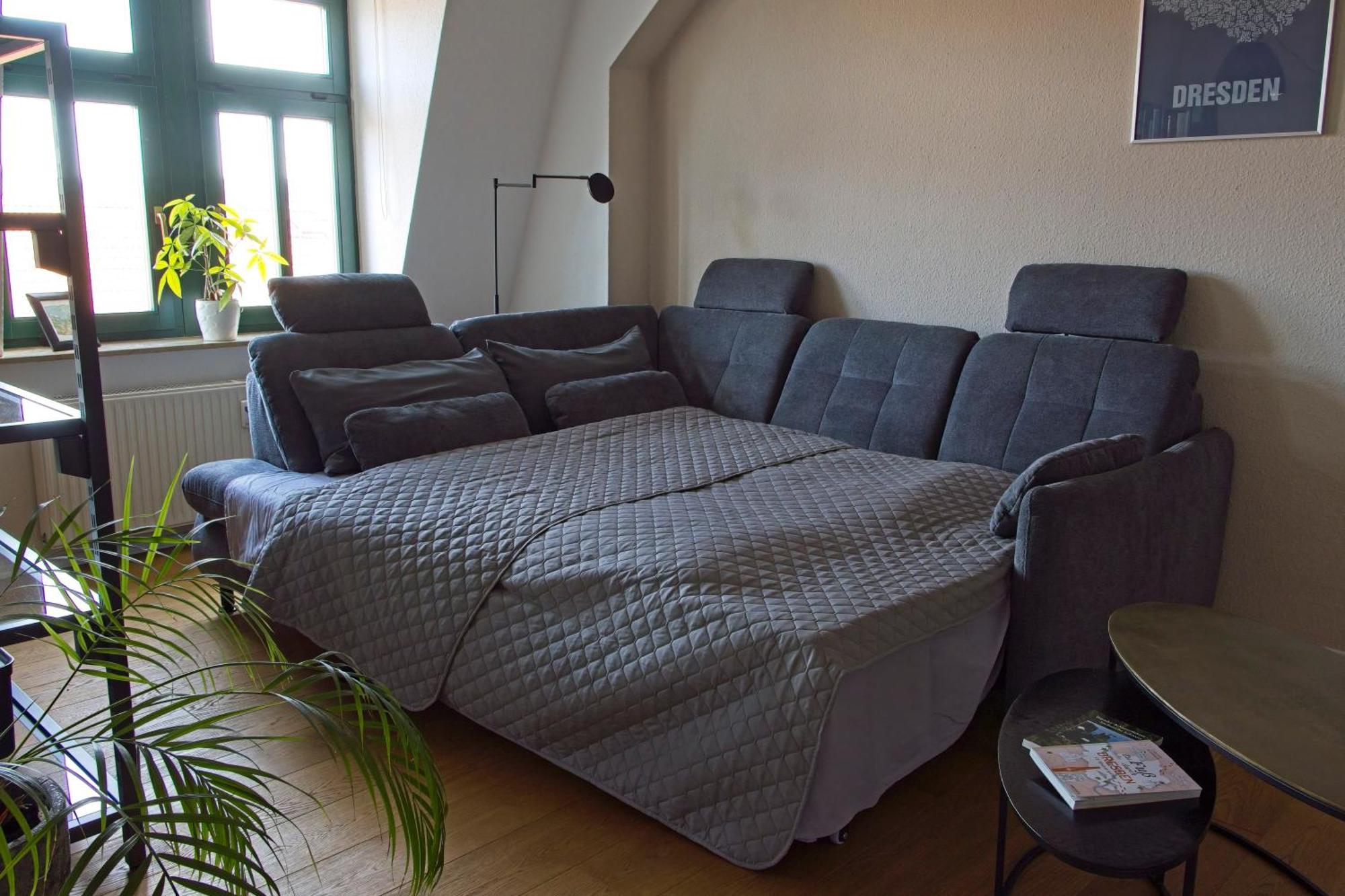 Neustadt-Aussicht - Grosse Wohnung Mit Balkon เดรสเดน ภายนอก รูปภาพ